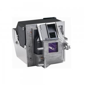 Lamp for INFOCUS LP1000