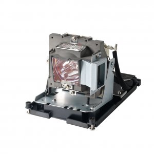 Lamp for INFOCUS LP1000B
