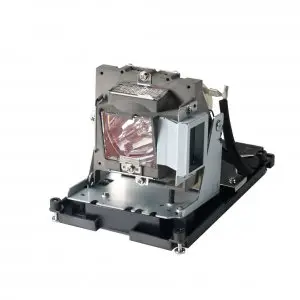 Lamp for INFOCUS LP1000B