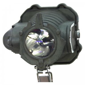 Lamp for INFOCUS LP120