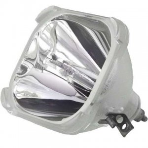 Lamp for BENQ VP 110X