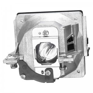 VIVID Original Inside lamp for INFOCUS Lamp for the IN74EX projector model - Replaces SP-LAMP-025