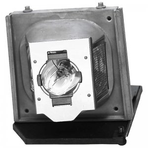 VIVID Original Inside lamp for ACER Lamp for the PD528 projector model - Replaces EC.J4800.001