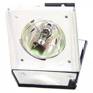 VIVID Original Inside lamp for ACER Lamp for the PD521D projector model - Replaces EC.J1001.001