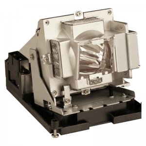 VIVID Original Inside lamp for OPTOMA Lamp for the TH1060P projector model - Replaces BL-FS300C