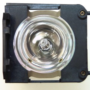 VIVID Original Inside lamp for LIESEGANG Lamp for the MULTI 800 projector model - Replaces ZU1202 04 4010